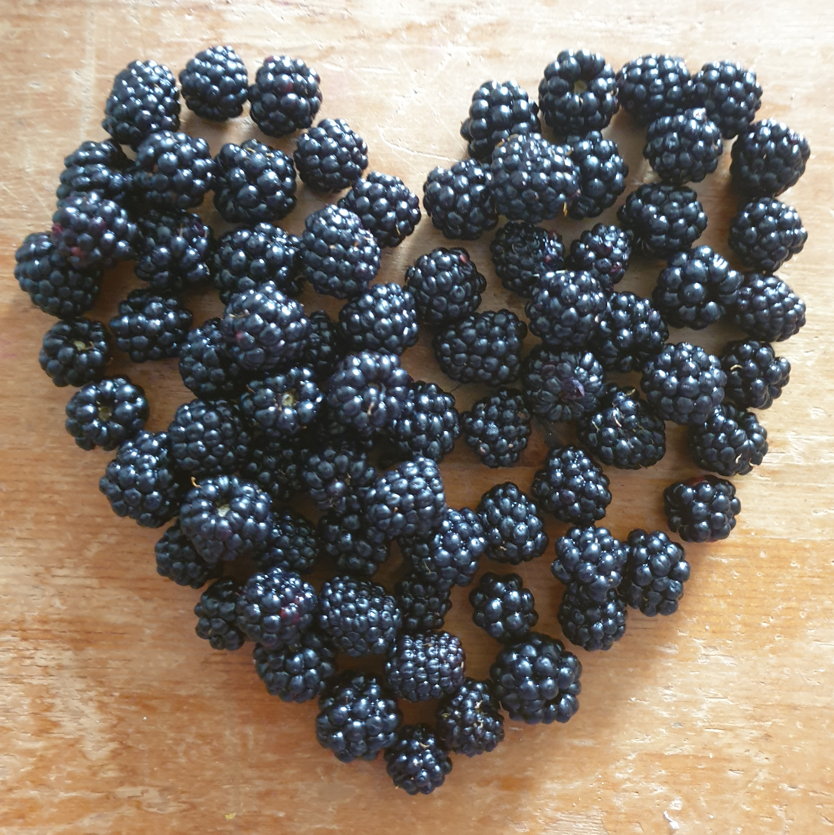 In de Bourgogne floreren bramen in overvloed, een zalige toevoeging aan picknicks, apéro's of verwerkt in een verrukkelijk taartje.