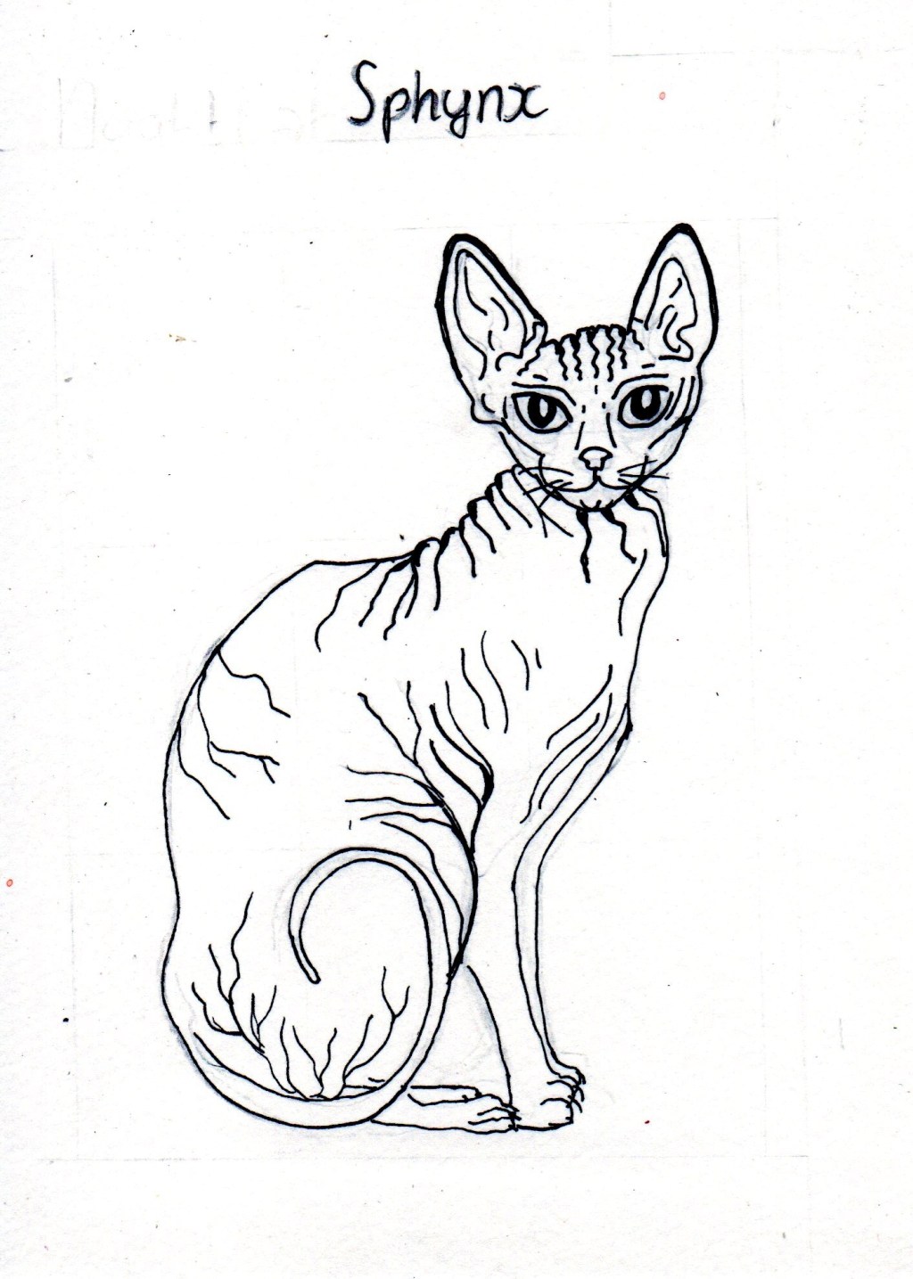 Van spirituele onderzetters tot katten: nieuwe designs in de&nbsp;maak