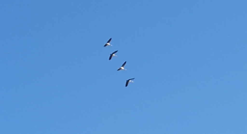 Getting lost in Burgundy: an unexpected adventure in real&nbsp;forests