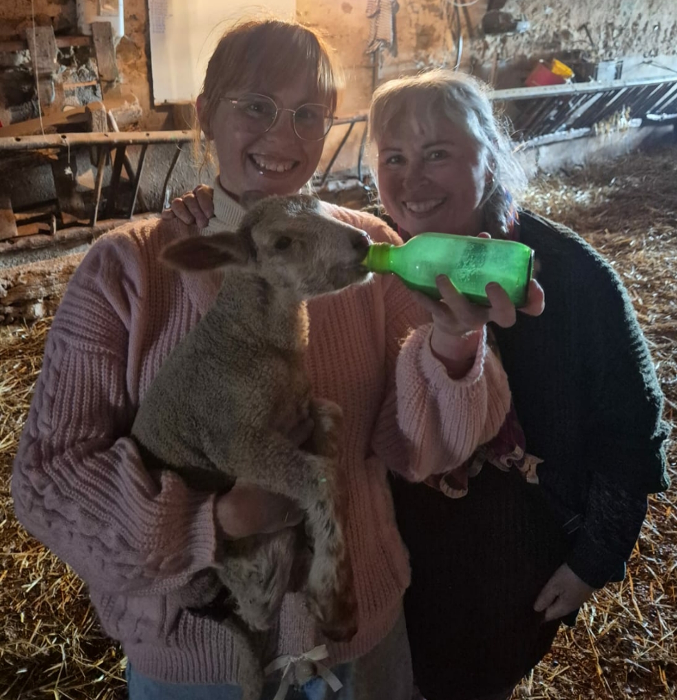 Lammetjes, lente en het boerenleven in de&nbsp;Bourgogne