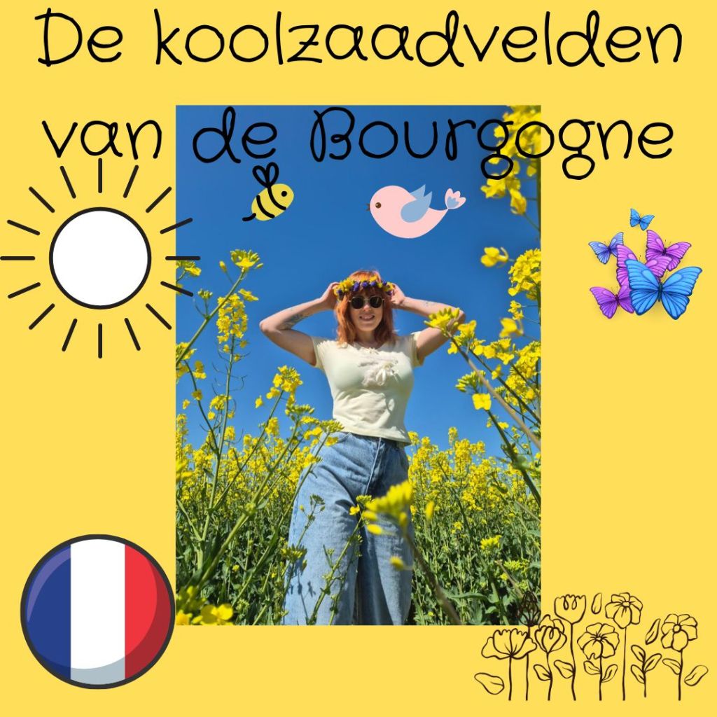 🌼 Koolzaad – Het Gouden Tapijt van&nbsp;Frankrijk