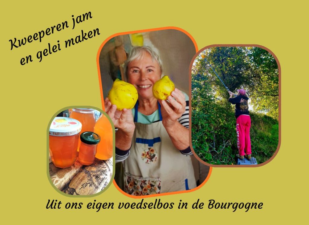 Herfst nostalgie met kweepeer&nbsp;gelei