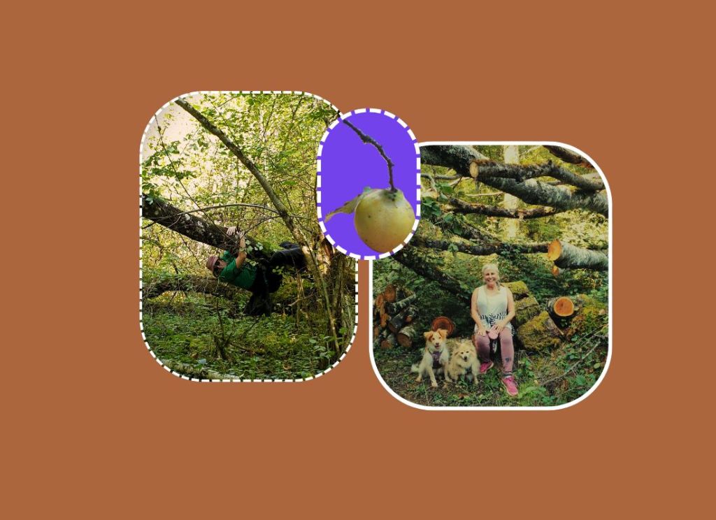 Vergeten fruit en herfstgeluk – mijn ode aan de&nbsp;kweepeer