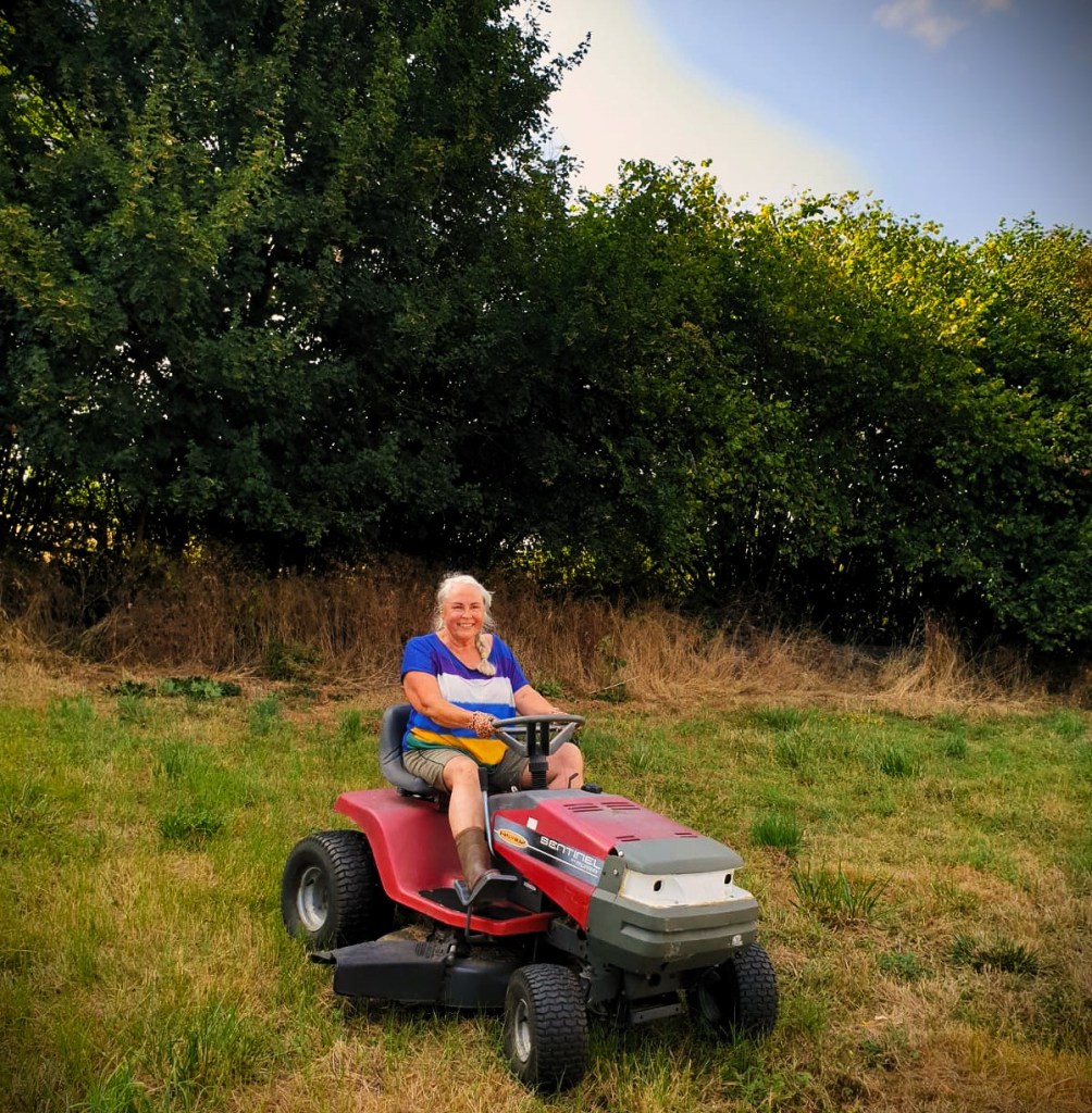 Van Kawasaki naar zitmaaier — een persoonlijk verhaal over het tempo van het leven, ontdekken in eenvoud en de kunst van vertragen.
Tussen het maaien door vond ik sleedoornvruchten, waar ik iets bijzonders mee maakte: zelfgemaakte sleedoorn-olijven.
Een blog over verandering, rust en onverwachte inspiratie in de natuur. 🌿