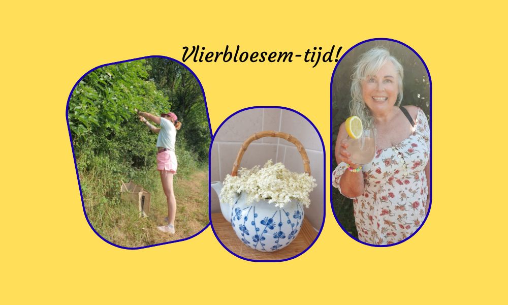 Vlierbloesemsiroop maken met lavendel – recept uit het Franse&nbsp;voedselbos